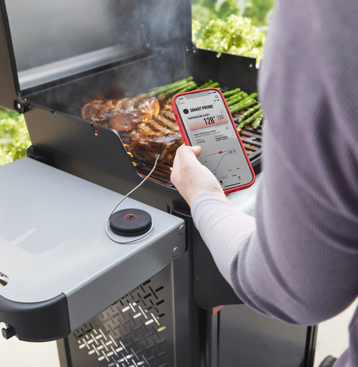 3400590 Weber Smart hitaþráður, kjöt & grillhiti