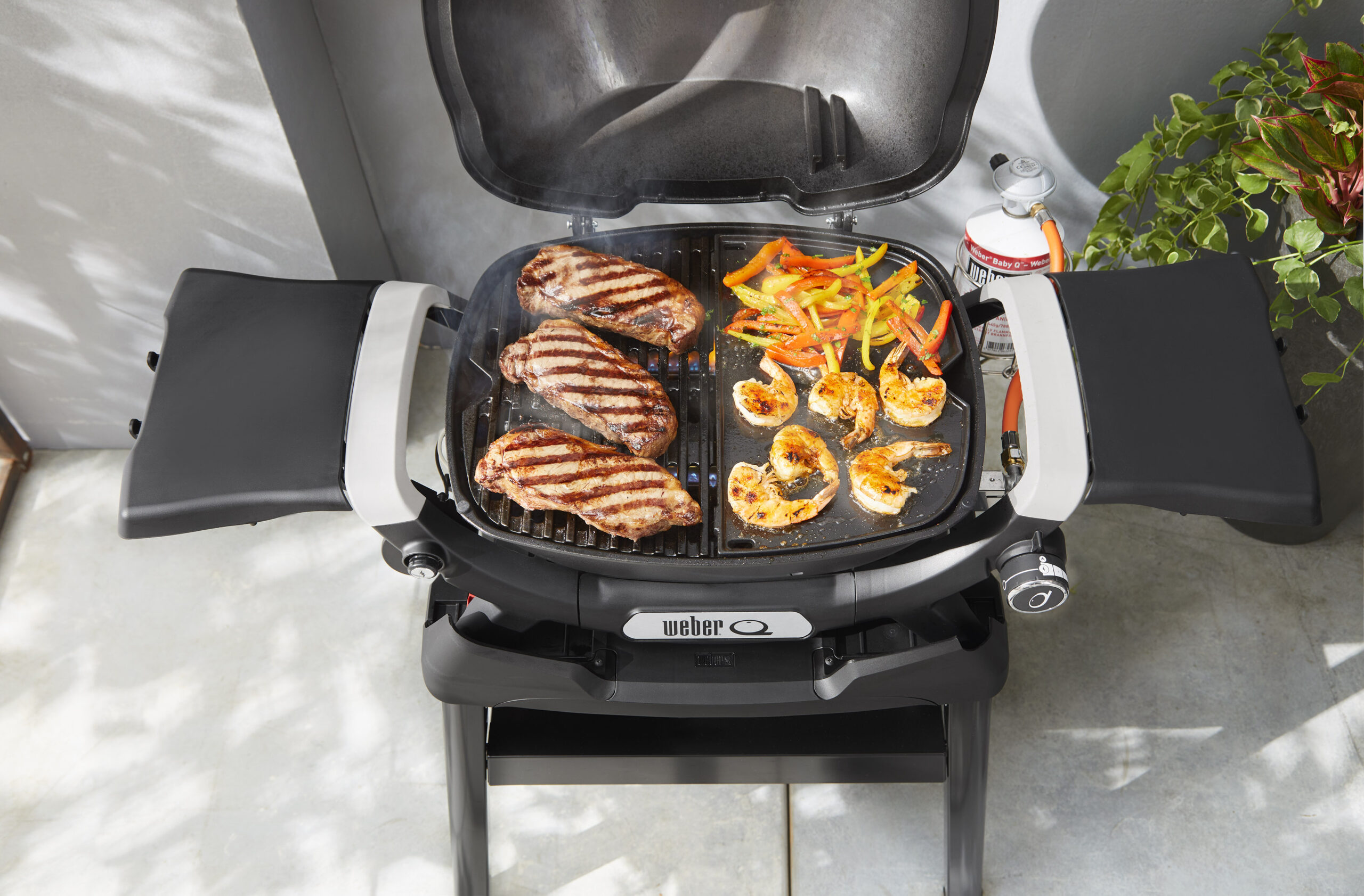 3400864 Weber Q2200N steikarplata